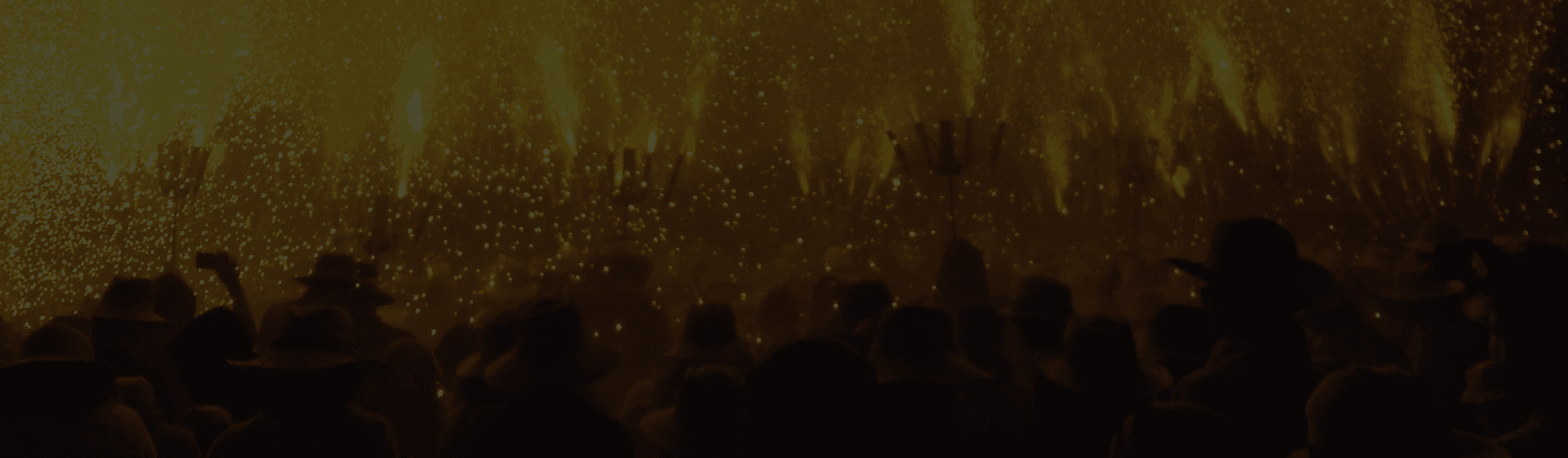 A crowd gathered at a festival at night